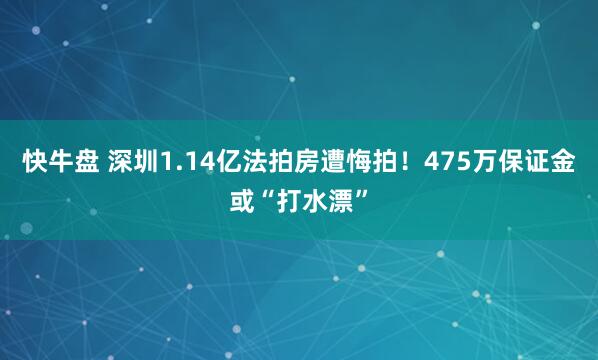 快牛盘 深圳1.14亿法拍房遭悔拍！475万保证金或“打水漂”