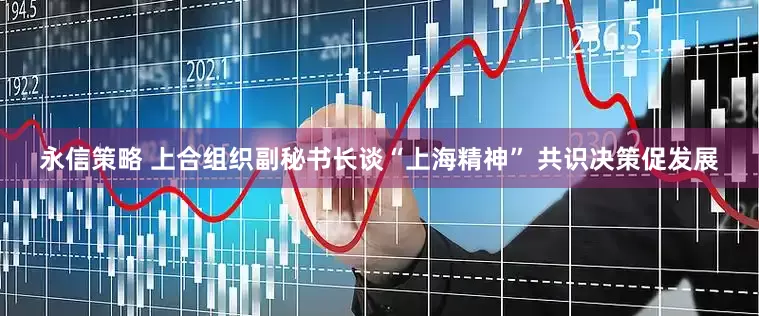 永信策略 上合组织副秘书长谈“上海精神” 共识决策促发展